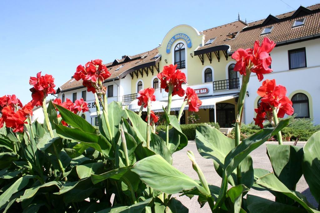 Balástya Hotel Orchidea מראה חיצוני תמונה