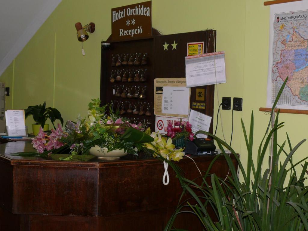 Balástya Hotel Orchidea מראה חיצוני תמונה